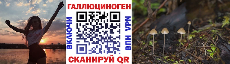 MEGA как войти Богородицк Галлюциногенные грибы Psilocybe