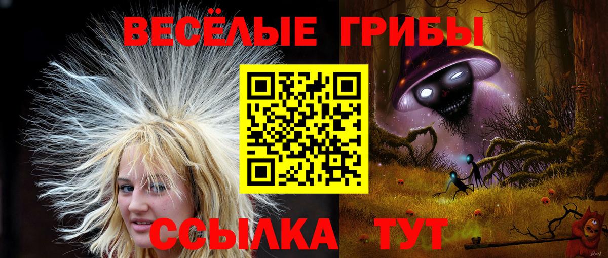 Псилоцибиновые грибы ЛСД Богородицк