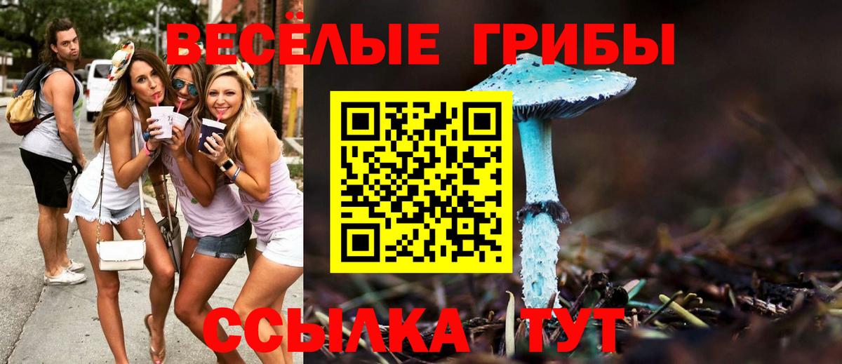 Псилоцибиновые грибы Psilocybe  Галлюциногенные грибы Psilocybine cubensis  Богородицк 